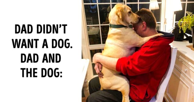 10 Dads Who Didn’t Want Dogs In Their Lives