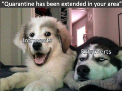 14 Dog Memes Explaining Exactly How We Feel About Quarantine Dog Memes About Quarantine