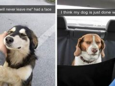 20 Hilarious Dog Snapchats That Are Impawsible Not To Laugh At Hilarious Dog Snapchats