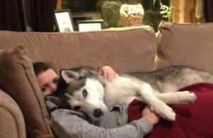 10 Reasons To Be Thankful For Your Dog Reasons To Be Thankful For Your Dog